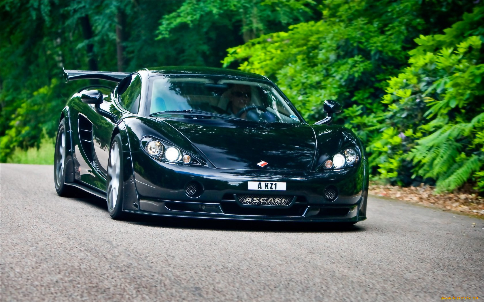ascari, 
